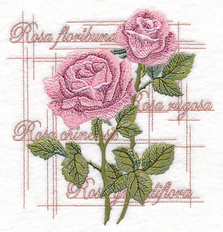 A Rose By Any Other Name - Image 3