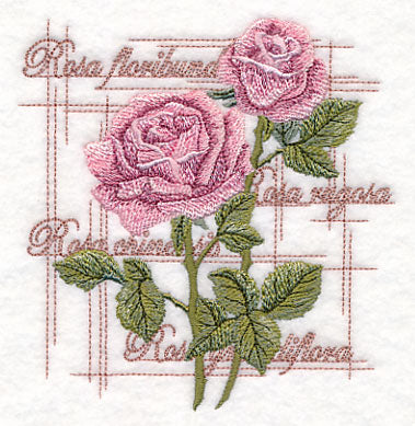 A Rose By Any Other Name - Image 4