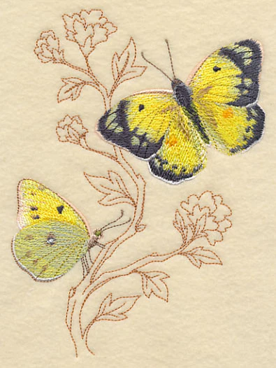 Alfalfa Butterfly on Delicate Branches - Image 4