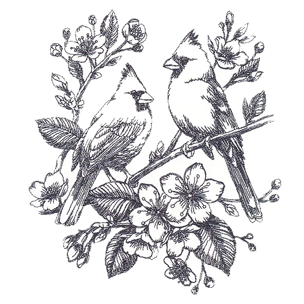 Antique Elegance Cardinal Etching