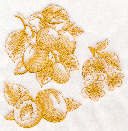 Apricot Botanical (Toile) - Image 2