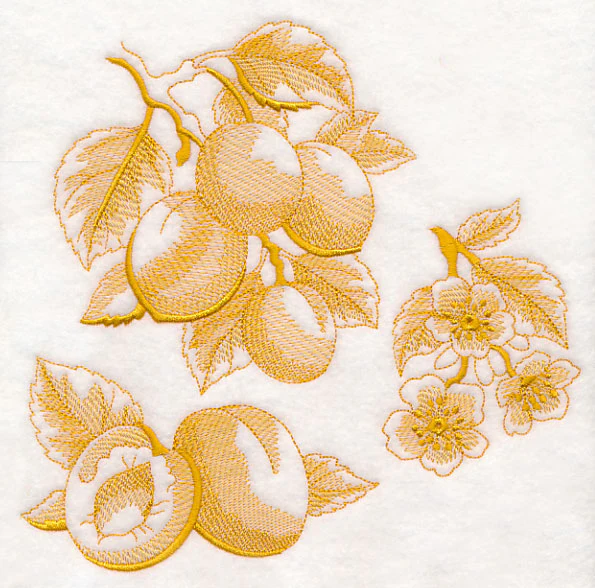 Apricot Botanical (Toile) - Image 6
