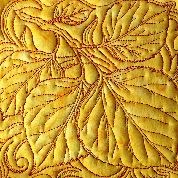 Aspen Leaves in Autumn Square - Image 10