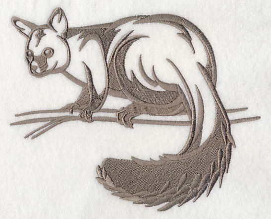 Australian Brushtail Possum Silhouette