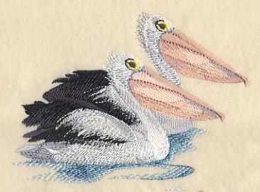 Australian Pelican Pair - Image 3