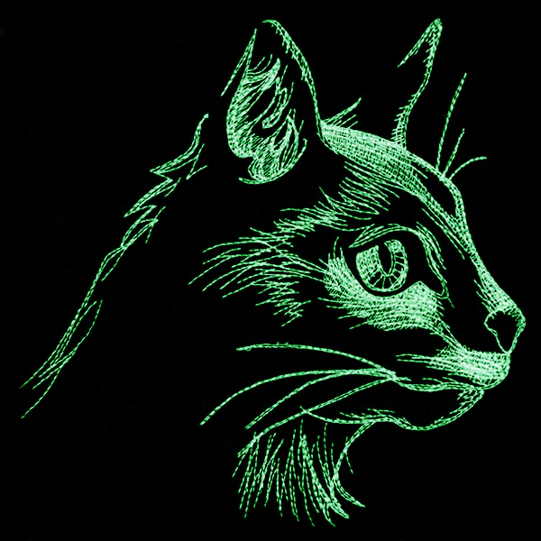 Autumn Glow - Cat - Image 10