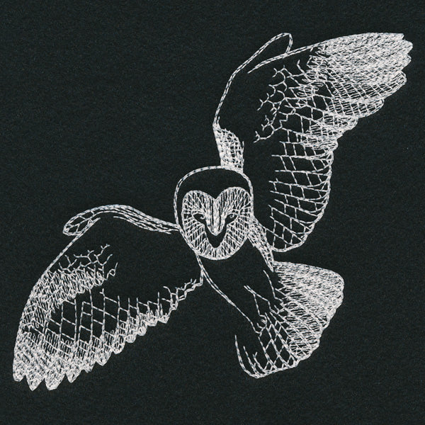 Autumn Glow - Owl - Image 5