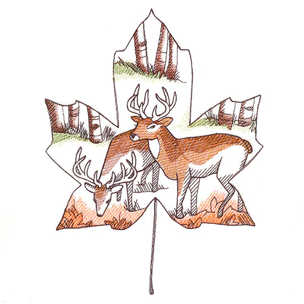 Autumn Woodland Deer Scene