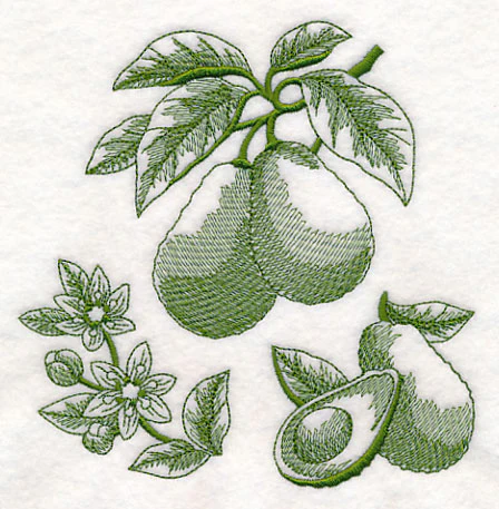 Avocado Botanical (Toile) - Image 3