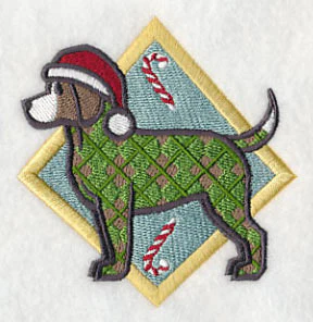 Beagle - Argyle