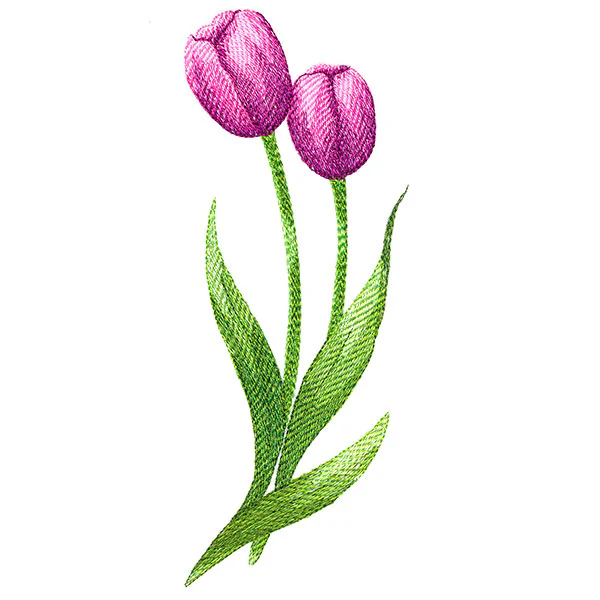 Beautiful Tulips - Image 3