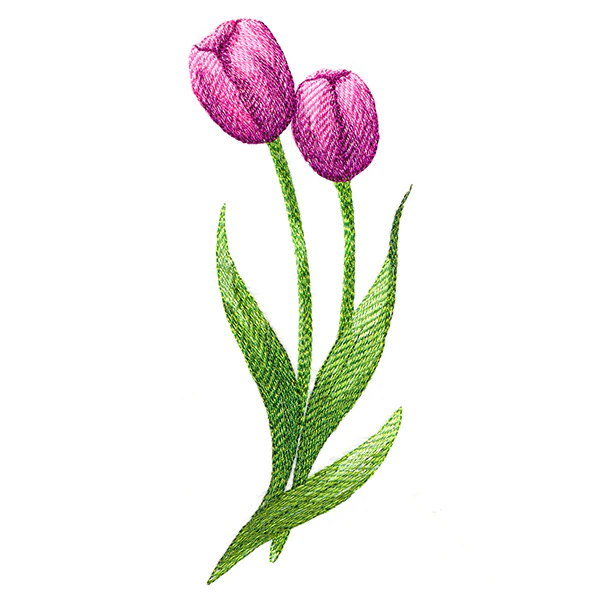 Beautiful Tulips - Image 4