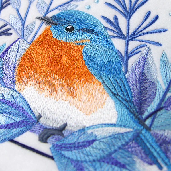 Beautiful Winter Bluebird - Image 6