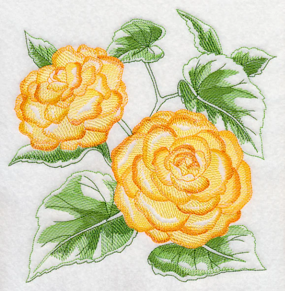 Begonia Sketch