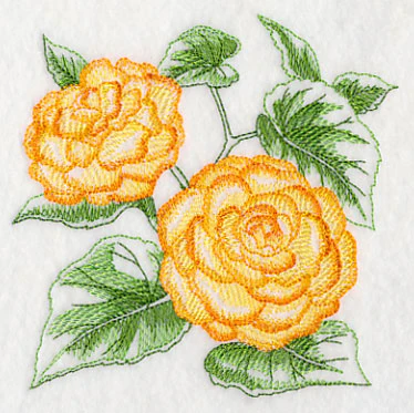 Begonia Sketch - Image 7