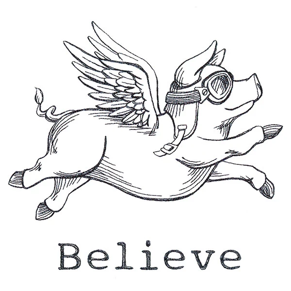 Believe Pig - Image 4