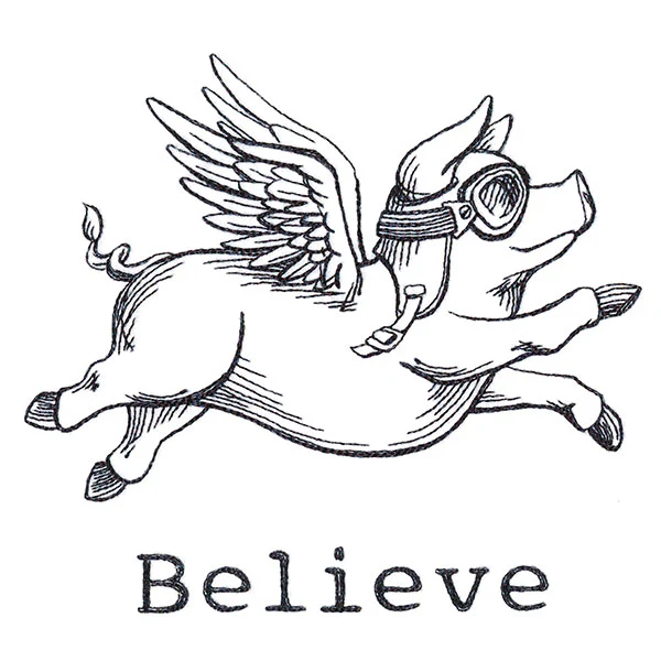 Believe Pig - Image 5
