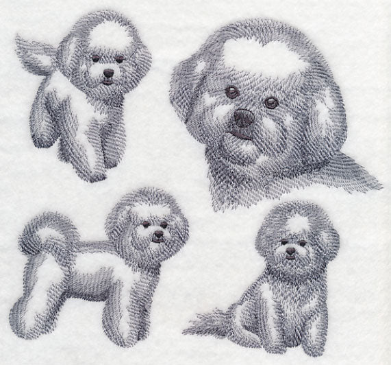 Bichon Frise Sketch - Image 4