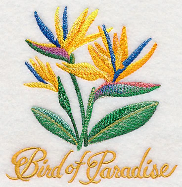 Bird of Paradise Flower in Watercolor - Image 3