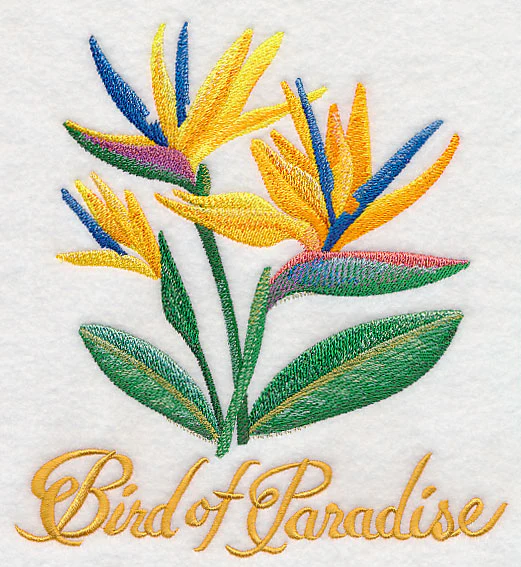 Bird of Paradise Flower in Watercolor - Image 4