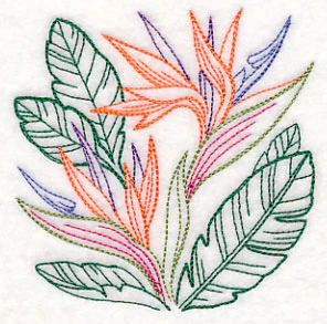 Bird of Paradise Square (Vintage) - Image 5