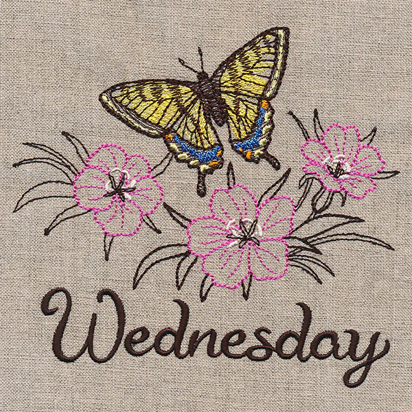 Blessed Wednesday - Tiger Swallowtail & Corncockle