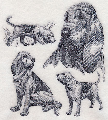 Bloodhound Sketch - Image 2