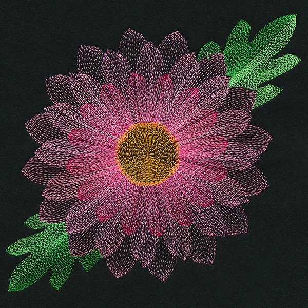 Blooming Garden Chrysanthemum - Image 6
