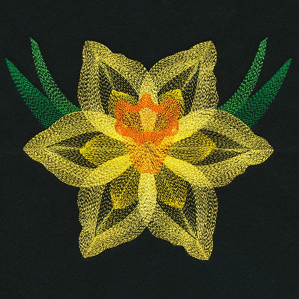 Blooming Garden Daffodil