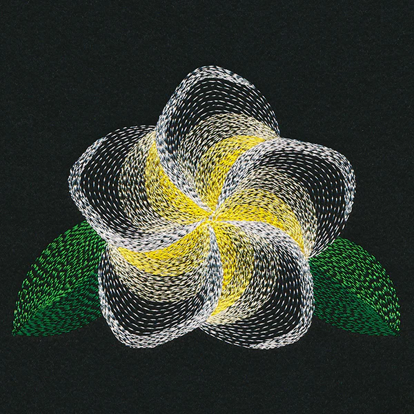 Blooming Garden Frangipani - Image 4