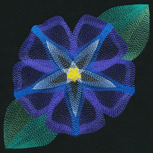 Blooming Garden Morning Glory