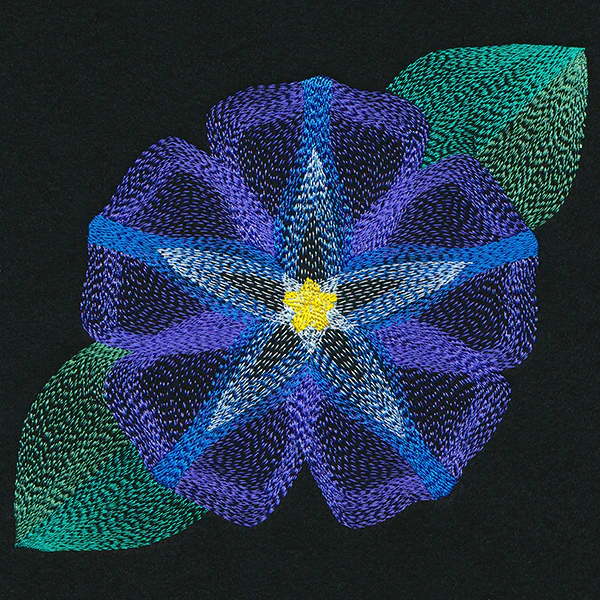 Blooming Garden Morning Glory - Image 3