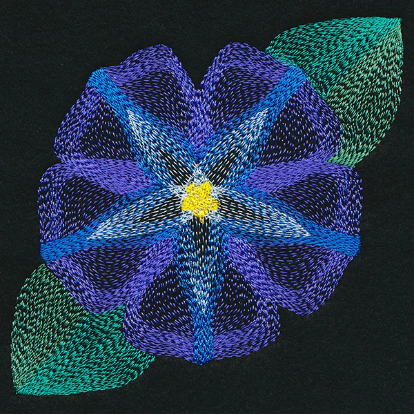Blooming Garden Morning Glory - Image 4