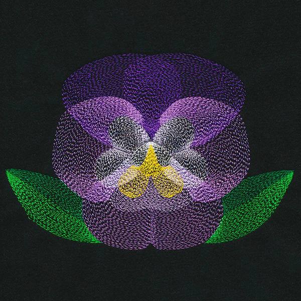 Blooming Garden Pansy