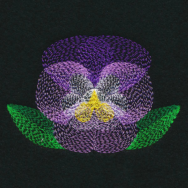 Blooming Garden Pansy - Image 5
