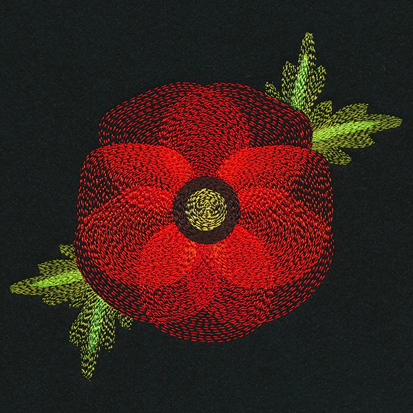 Blooming Garden Poppy - Image 3