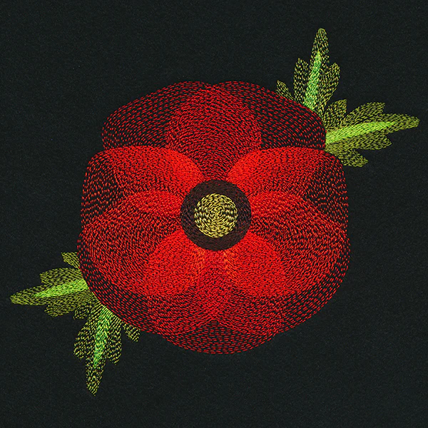 Blooming Garden Poppy - Image 6