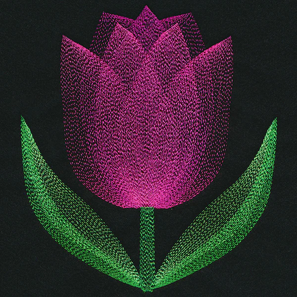 Blooming Garden Tulip - Image 6