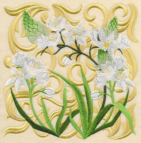 Blooming Star of Bethlehem Square