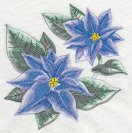 Blue Christmas Poinsettia Sketch - Image 3