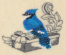 Blue Jay and Gift - Image 2