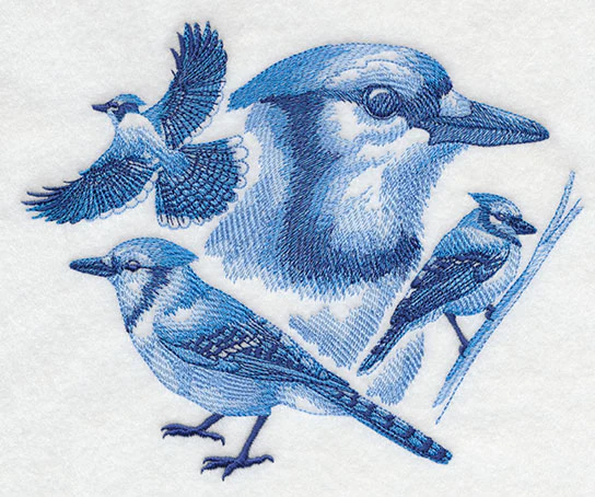 Blue Jay Sketch - Image 2