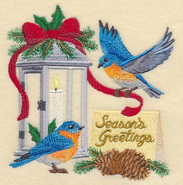 Bluebirds Give Season's Greetings - Image 5
