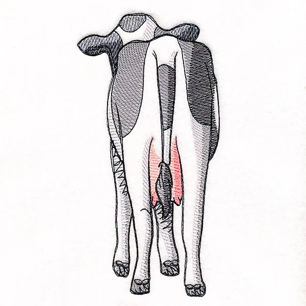 Bottoms Up Buddies - Cow - Image 4