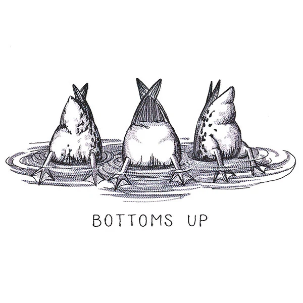 Bottoms Up Duck Butt Trio - Image 2