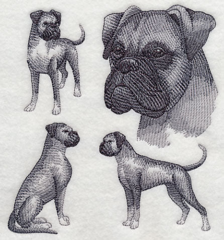 Boxer Sketch (Full Ears) - Image 2