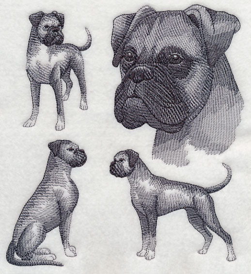 Boxer Sketch (Full Ears) - Image 4