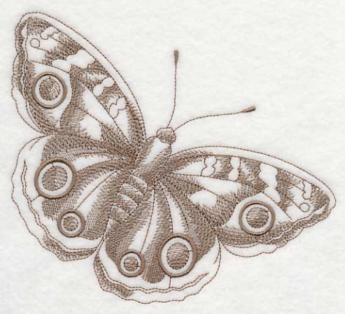 Buckeye Butterfly (Toile) - Image 2