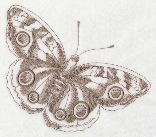 Buckeye Butterfly (Toile) - Image 5