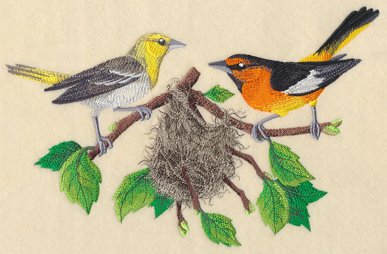 Bullock's Orioles and Nest - Image 5